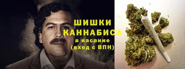 шишки Лихославль