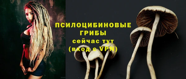 шишки Лихославль