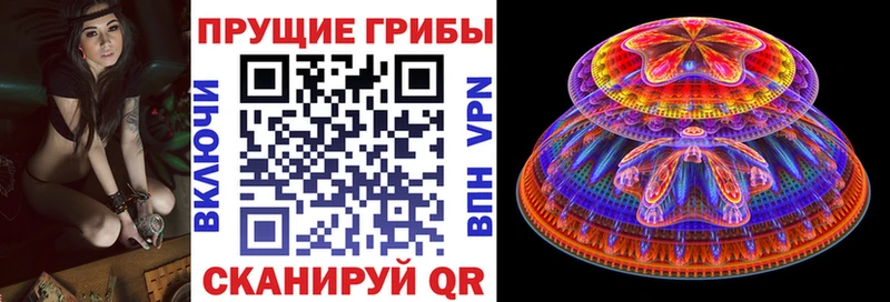 Галлюциногенные грибы прущие грибы  Мирный 